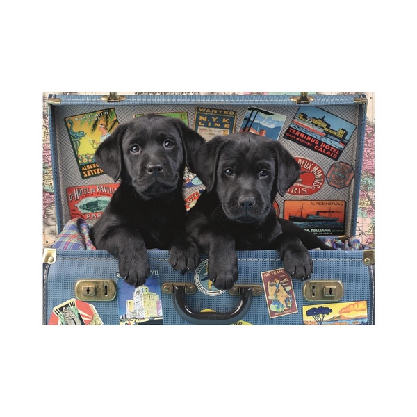 Dino Puppies v kufri 500 puzzle