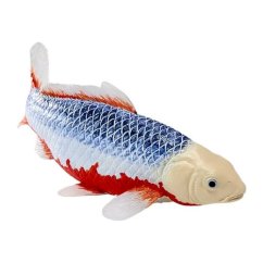 Mojo Carp koi asagi