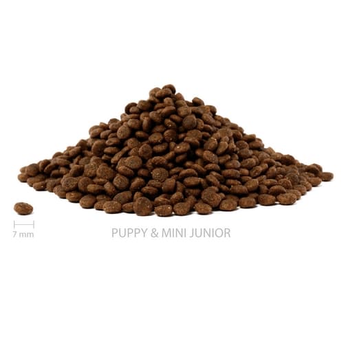 ALMI Puppy & Mini Junior 12kg