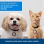PetSafe® Přídavný klíč L pro dvířka SmartDoor Connected