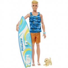 Barbie Ken surfer s príslušenstvom