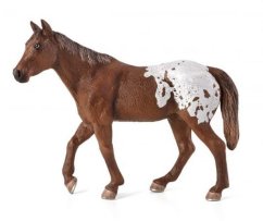 Mojo Appaloosa Stallion Blanket
