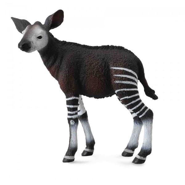 Cucciolo di okapi