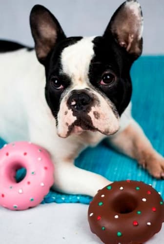 Karlie Hračka latexová Donut