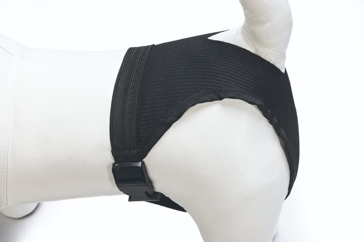 Beeztees Nylonové hárací kalhotky Černá M