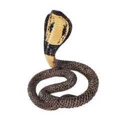 Mojo Royal Cobra