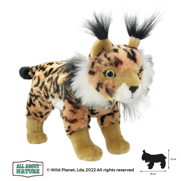 Wild Planet Peluche iberico Lynx Bavixo.es