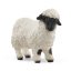 Schleich 13965 Valašská čiernochvostá ovca