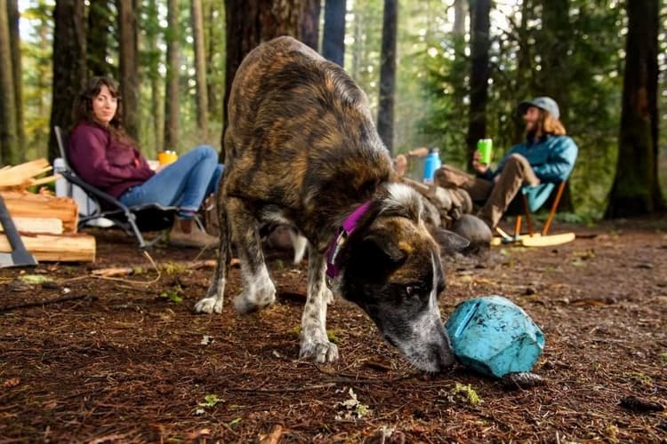Ruffwear Gnawt-a-Rock™ Hračka pro psy Sockeye Red