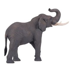 Eléphant Mojo africain