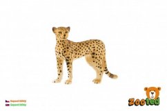 Gepard štíhlý zooted