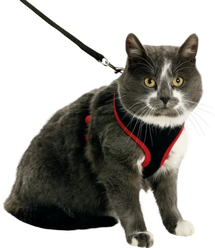 Flamingo Postroj a vodítko pro kočky Černá/červená S