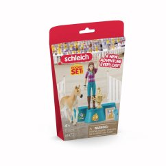 Schleich 81472 Díjkiosztás a verseny után