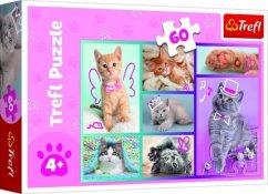 Puzzle Pisici drăguțe 33x22cm 60 de piese în cutie 21x14x4cm