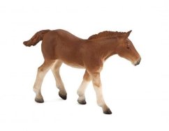 Mojo Suffolk Punch colt