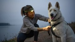 RUFFWEAR Front Range® Harnașament pentru câine Gri bazalt XS