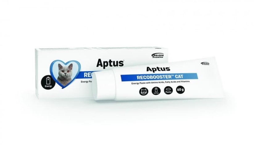 Aptus® Recobooster Cat 60g