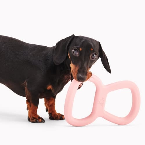 Beco Tough Tugger Hračka pro psy růžová 22cm