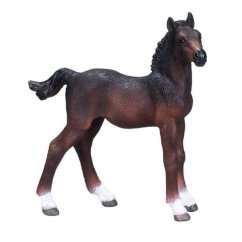 Mojo Colt Hanoverian maro