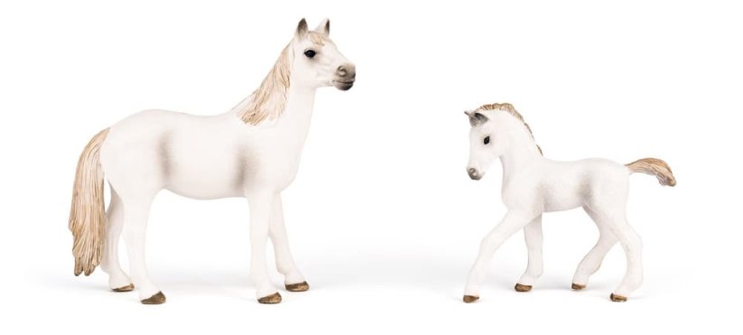 Sada koní s lipicánem