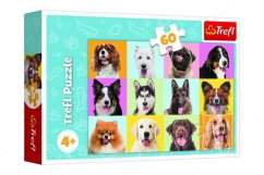 Puzzle Chiens mignons 33x22cm 60 pièces dans une boîte 21x14x4cm