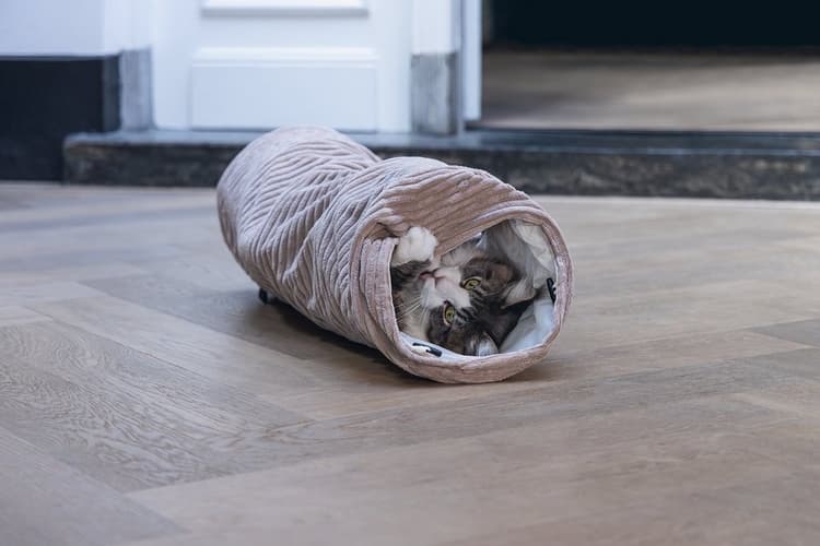 Designed by Lotte Tunel pro kočky růžový 75x25x25cm