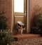 PetSafe® Dvířka Staywell 715 Originál, bílá, velikost S