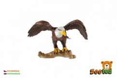 Bald Eagle zooted