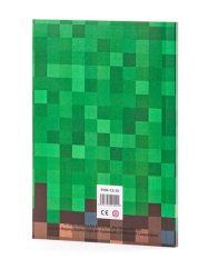 Caiet PIXIE CREW A5, Minecraft