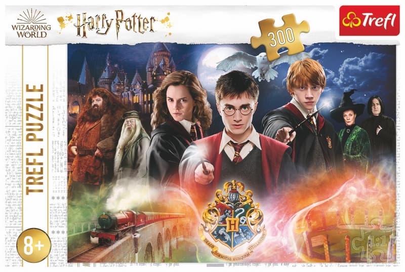 Casse-tête Harry Potter - Le secret d'Harry Potter 300 pièces