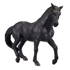 Mojo Cal andaluzesc negru