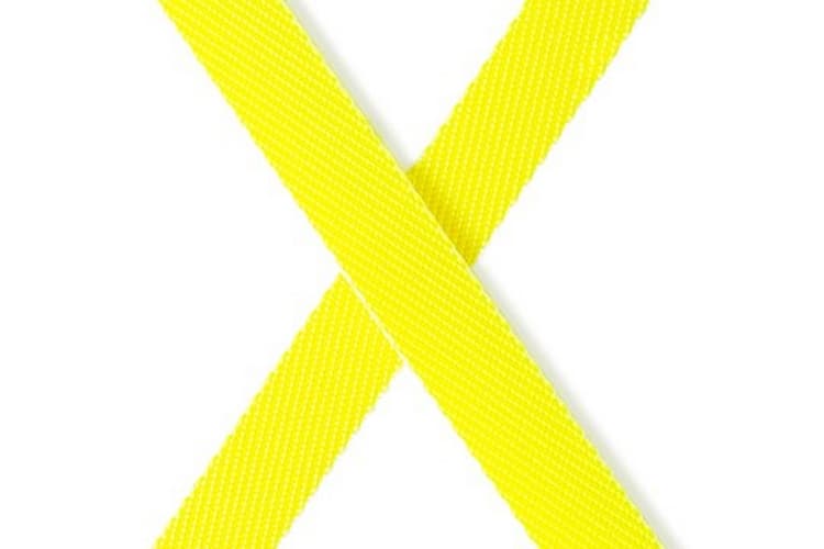 Flexi Vodítko Giant L pásek 8m černo-žluté