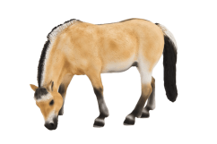 Mojo Fjord Mare