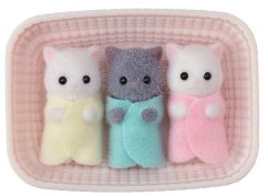Familles Sylvaniennes Chat Persan Triplets
