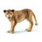 Schleich 14825 Lionne