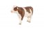 Kráva horská strakatá zooted plast 12cm v sáčku
