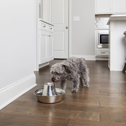 PetSafe® Seaside Nerezová fontánka 1,8l