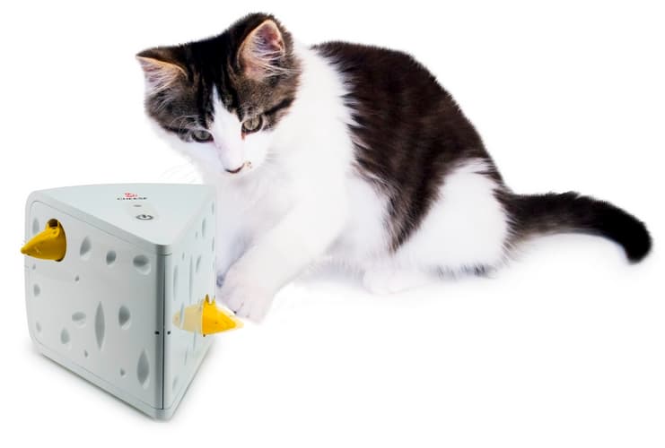 FroliCat® CHEESE™ Automatic Cat Teaser