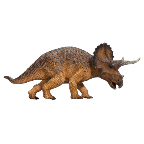 Mojo Triceratops mare