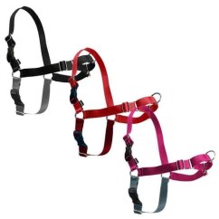 PetSafe® Postroj EasyWalk červený M