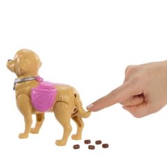 Păpușa Barbie cu cățelul la plimbare