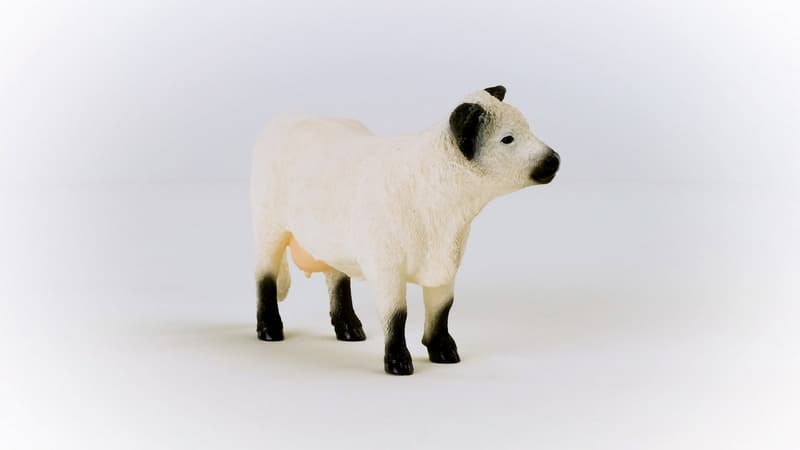 Schleich 13960 Galloway tehén