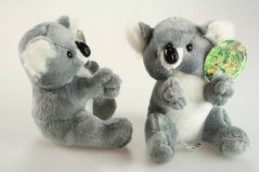 Koala en peluche