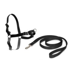 PetSafe® Postroj EasyWalk černý M