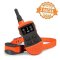 SportDOG® Obroża elektroniczna 500m Trainer
