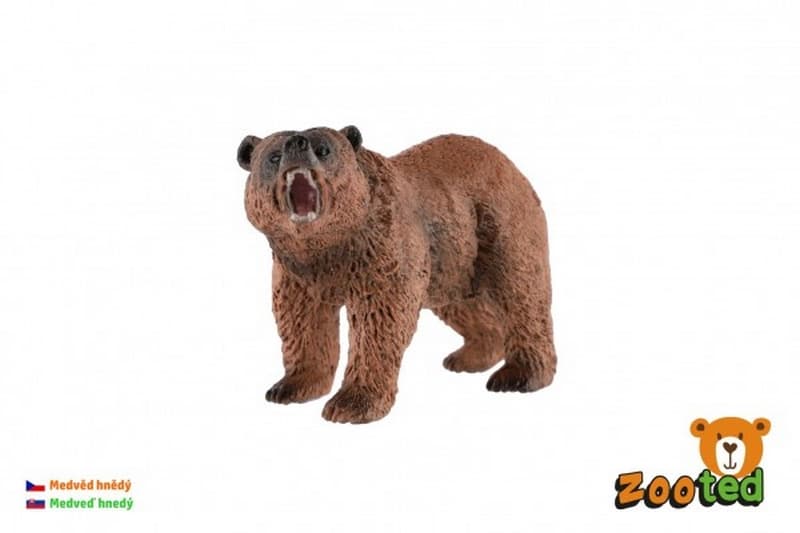 Medvěd hnědý zooted