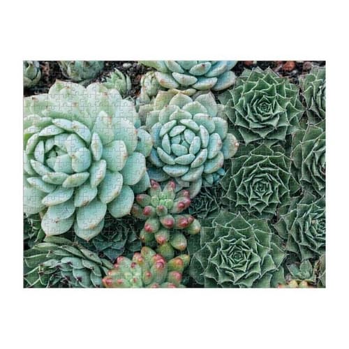 Galison Puzzle réversible Succulentes 500 pièces