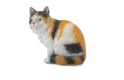 Collecta Barevná domácí kočka - sedící