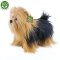 Rappa Plush Yorkshire Terrier în picioare 30 cm ECO-FRIENDLY