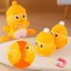Chodící kačenka s mláďaty